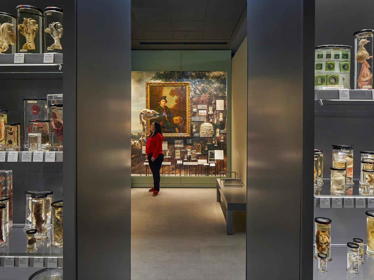 Hunterian-Museum_Carousel-Land